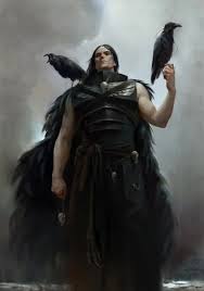 Attēlu rezultāti vaicājumam “Corvus corax adult”