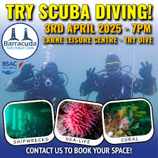 Image result for Black Country Barracudas Sub Aqua Club