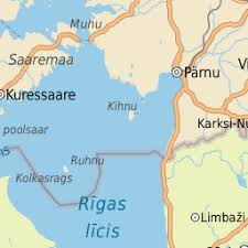 Attēlu rezultāti vaicājumam “Badhamia flavoglauca sessile”