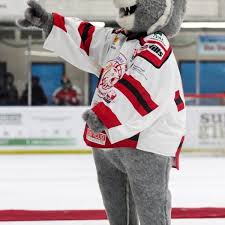 Image result for Swindon Panthers