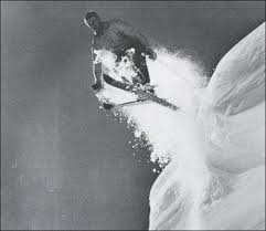 Attēlu rezultāti vaicājumam “Comatricha alta young”