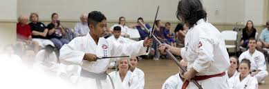 Image result for Ryusui-ryu Martial Arts School East Grinstead