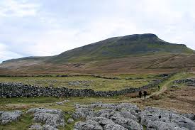 Image result for PENYGHENT GUN CLUB