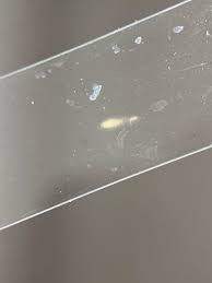 Attēlu rezultāti vaicājumam “Dacrymyces chrysospermus spores”