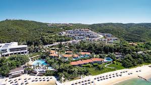 Image result for Palace Eagles Octopush Club