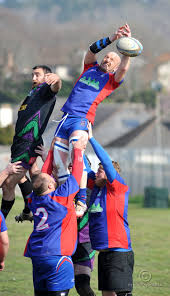 Image result for Totnes Rugby Club