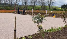 Image result for Tregony Petanque Club