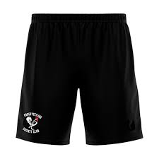 Image result for Croesyceiliog Cricket Club