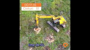 Image result for dipperfox tehron