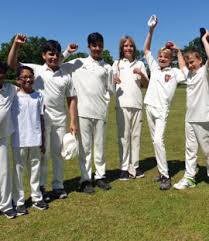 Image result for Halstead Colts Cricket Club