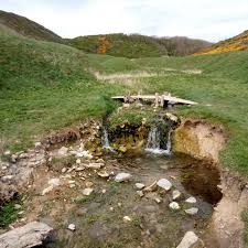 Image result for Llantwit Lions