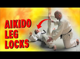 Image result for Matlock Aikido Club