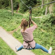 Image result for Go Ape! Grizedale
