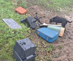 Image result for Marazion Smbc