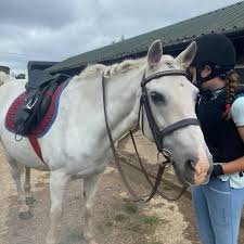 Image result for Palmers Riding Stables