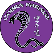 Image result for Cobra Karate Club