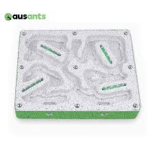 Image result for ytong ants