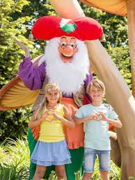 Image result for kabouter koos spee