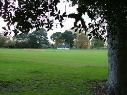 Image result for Buscot Park Cricket Club