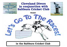 Image result for Cleveland Divers