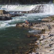 Attēlu rezultāti vaicājumam “Tubifera montana”