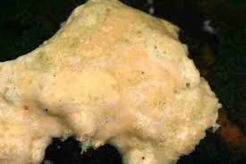 Attēlu rezultāti vaicājumam “Postia sericeomollis”