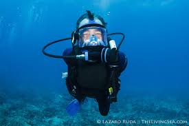Image result for Blue Water Diving
