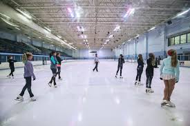 Image result for Kyle Figure Skating Club
