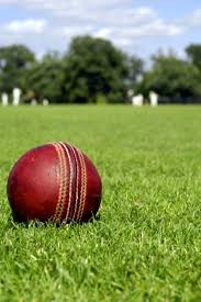Image result for Swyncombe Cricket Club