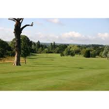 Image result for Pachesham Park Golf Centre