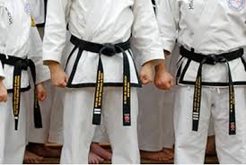 Image result for Absolute tae kwon do association