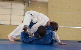 Image result for Hachidori ju-jitsu Martial Arts