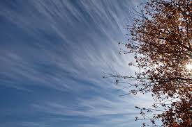 Attēlu rezultāti vaicājumam “Cirrus fibratus”