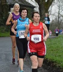 Image result for Ballymena Runners
