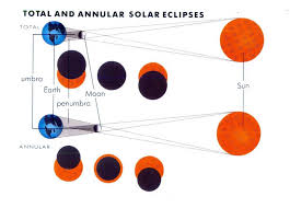 Attēlu rezultāti vaicājumam “Panolis umbra”
