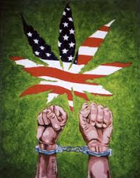 Pot arrests