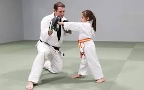 Image result for New Path Martial Arts Academy