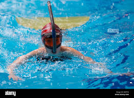 Image result for Swansea Finswimming Club