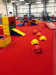 Image result for Swallows Trampoline Club