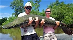 Image result for Garstang A S C