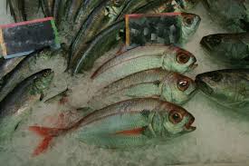 Image result for Pagellus bogaraveo