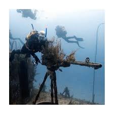 Image result for Uwe Sub Aqua Club