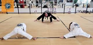 Image result for COMBAT TAEKWONDO
