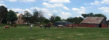 Image result for Old Park Riding Stables