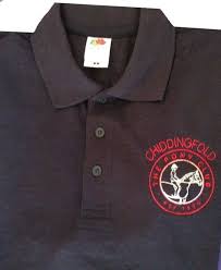 Image result for Chiddingfold Branch Of The Pony Club