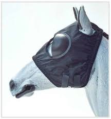 Image result for scheuklappen