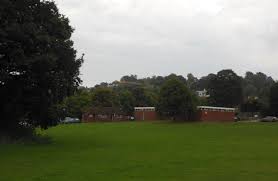 Image result for Shalford F C