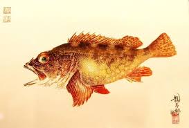 「魚拓」的圖片搜尋結果