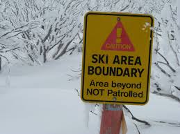 Image result for Hotham Bowls Club