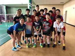 Image result for Higman (Tv) Badminton Academy Badminton Club